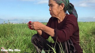 Mẹ ra đông cắt cỏ - Cơm nắm muối lạc xem là nhớ kỷ niệm xưa ( Happy Mother's Day ) Cơm mẹ nấu