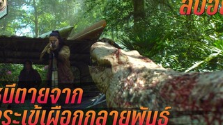 5สาวหนีตาย จากจระเข้เผือกกลายพันธุ์ สปอยหนัง Annihilation แดนทำลายล้าง