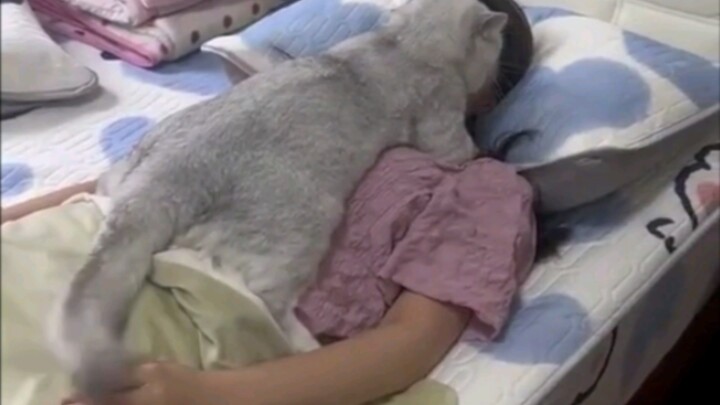 Kucing: Kalau orang kecanduan, mereka akan merokok supaya tenang.