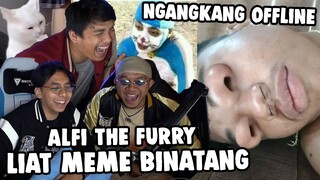 ALFI CUMA BISA KETAWA SAMA MEME BINATANG DOANG !! NGANGKANG OFFLINE