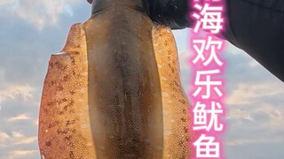 South China Sea Happy Squid Party