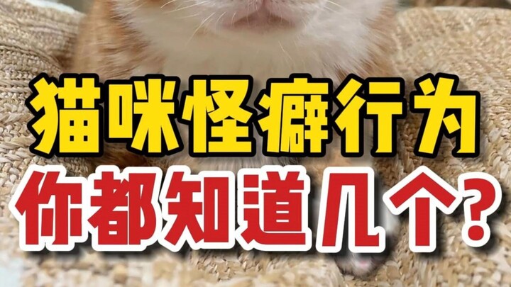 猫咪怪癖行为解析，你家猫中了几个？
