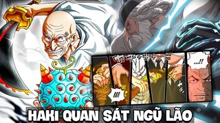 HAKI QUAN SÁT của NGŨ LÃO TINH | TÔI đã SỐC khi nghĩ HỌ YẾU? – One Piece