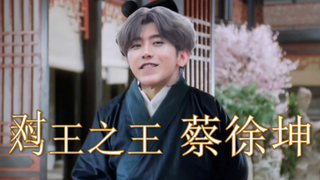 对王之王 蔡徐坤！