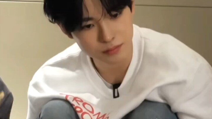 【ยูชิ】ลูกแมวที่ถูกกระต่ายขาวกัดฟัน