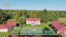 Rented in Finland Ep8 Sub indo