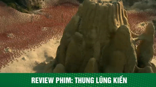 review phim Thung lũng kiến tập 1 #reviewphimhay #reviewhay