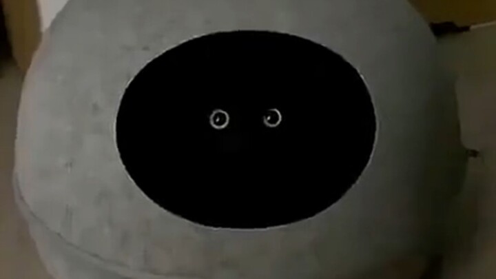 "When you gaze into the abyss, the abyss meows"