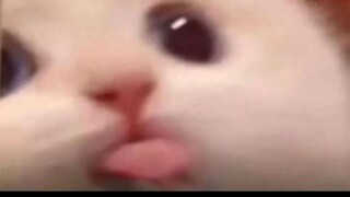 ch