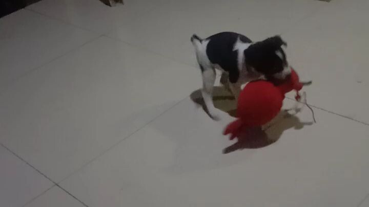 playing w/doll