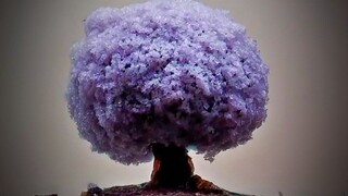 This is puffball, also known as horse dung bag. It is delicious and edible when young, as tender as 