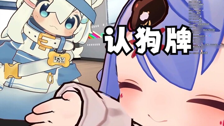 【Azi】Xiong Zibao reads the Japanese on the cute white dog tag! Jun's hometown dialect is a bit diffi