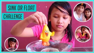 SINK OR FLOAT CHALLENGE | #bebekenvlog