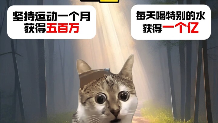 Which one would you choose?