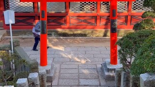 日本 🏵️