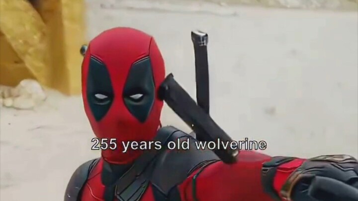Wolverine Deadpool