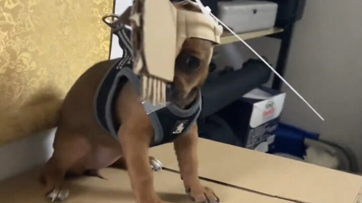 Let's fight together!