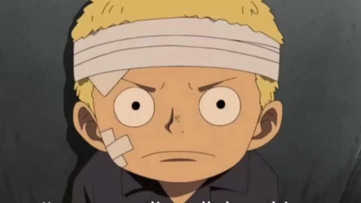 One piece meme