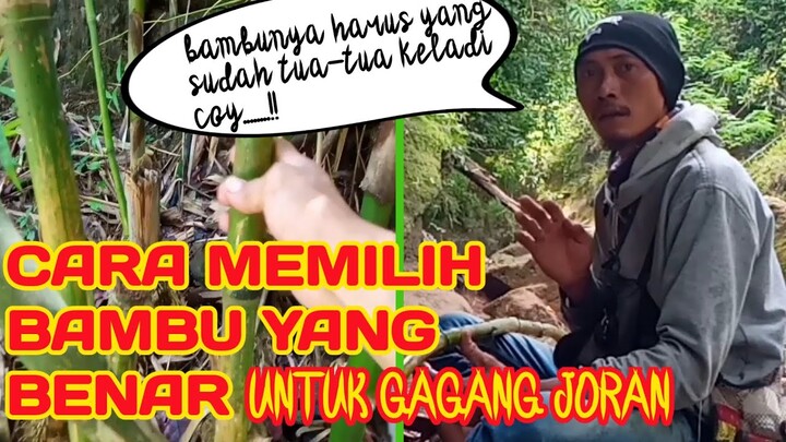 Cara memilih bambu yang benar untuk gagang joran