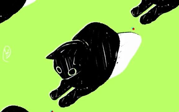 "Do you know how many different forms cats have?"
