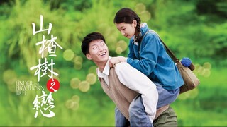 Under the Hawthorn Tree | Romance, Drama | English Subtitle | Chinese Movie