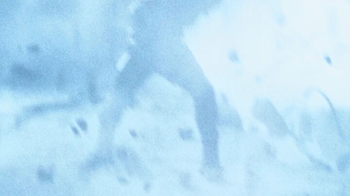 Anak-anak, ini adalah lutut yang kuat bak besi, penampilan paling gagah!