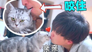 กัดหูแมวทันที เธอจะหันหัวมาจูบคุณแรงๆ! ง่ายขนาดนั้นเลยเหรอที่จะทำให้แมวจูบคุณ?