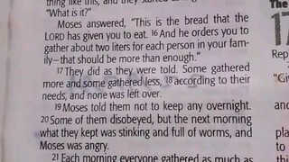 Daily Verse.                  Exodus 16:17-20