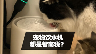 宠物饮水机都是智商税？