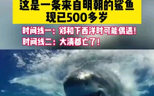 Cá mập Greenland chỉ trưởng thành khi 150 tuổi. Đặc điểm: Lười biếng, không kén ăn!