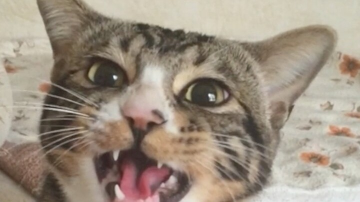 เรื่องนี้อาจจะยาวสักหน่อย มาเริ่มที่เรื่องการทำหมันกันก่อนดีกว่า