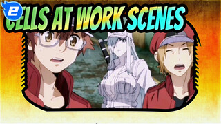 Cells At Work Scenes_2