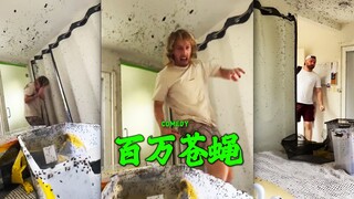 把100万只苍蝇放进室友的卧室.....马上绝交‼️
