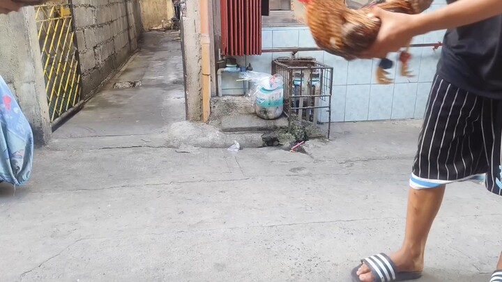 Spar muna