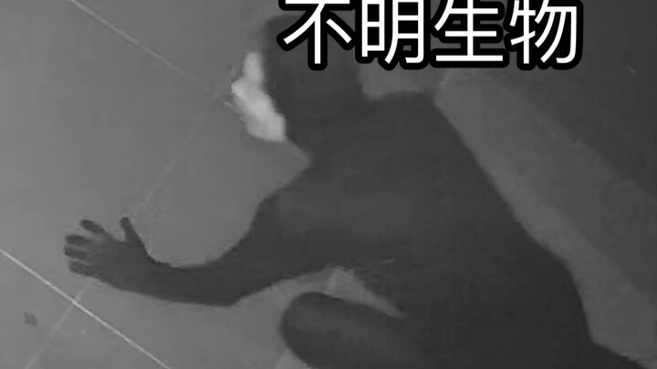 Terrifying Creature Caught on Surveillance in the Locked Room