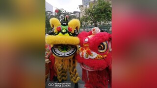 ongdiaongthantai thantai ongdia mualansurong mualan liondance tet2021 tettansuu2021