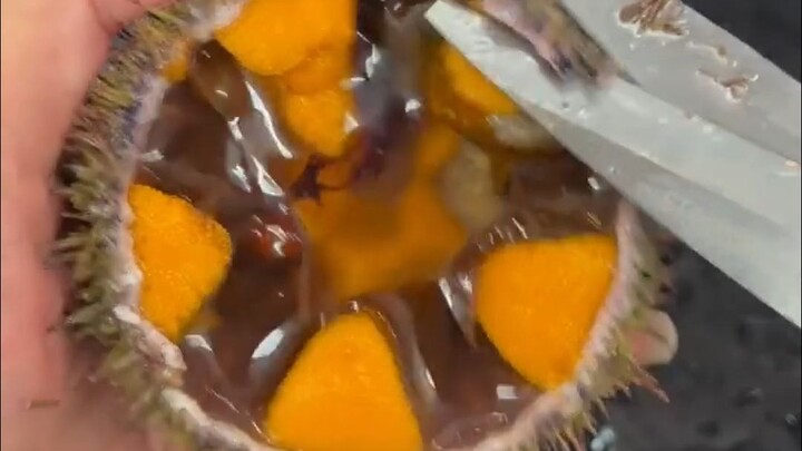 Quy định cộng đồng: Ai hôm nay nói quá 50 chữ, chết....
