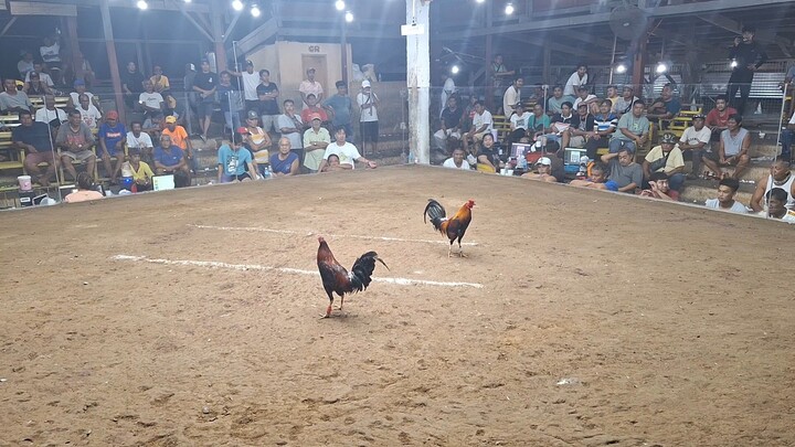 MCCA 3HITS Timbangan 11/29 3rd Fight