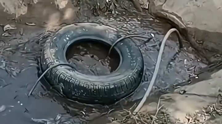 [Why didn’t I think of unclogging the drain like this?]