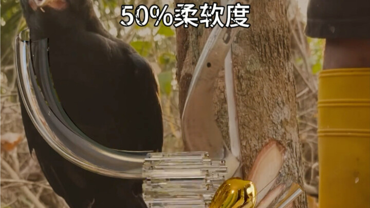 0% to 100% Gold Capsule Softness Test
