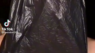 MP4.