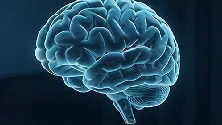 Did You Know Your Brain Stays Active While You Sleep? 🧠😴