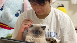 ขอแนะนำสมาชิกในครอบครัวของฉันแบบไม่เป็นมืออาชีพนิดหน่อยนะคะ