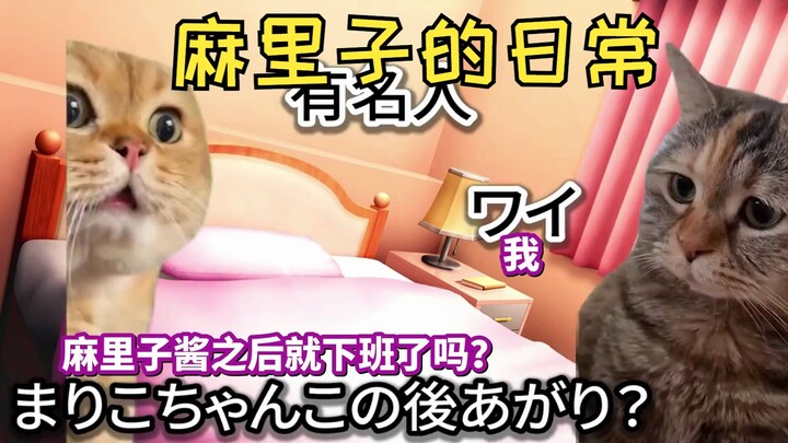 [Hot Clip] Super Famous Celebrity Comes to Play Apex with Mariko | Cat Meme