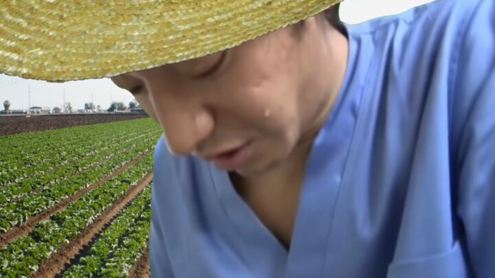 Những bác nông dân vất vả lao động trên đồng ruộng
