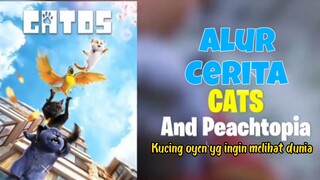 Kucing oyen yg ingin melihat dunia. Alur cerita film "Cats and peachtopia"