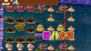 植物大战僵尸：水草：向日葵的安全由我来守护