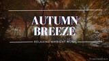 Rustling Leaves: Relaxing Autumn Forest Ambiance