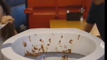 Sangat segar, sangat lezat