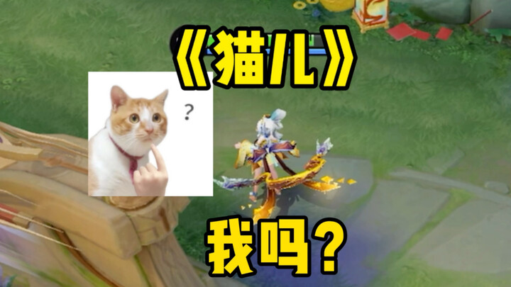 Chú mèo trên đầu ngọn tim em